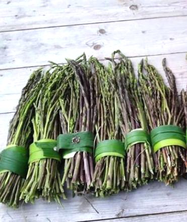 Asparagi in mazzi Asparagi in mazzi