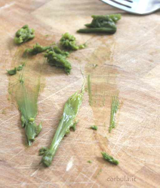 Ricetta Frittelle di Asparagi selvatici sardi