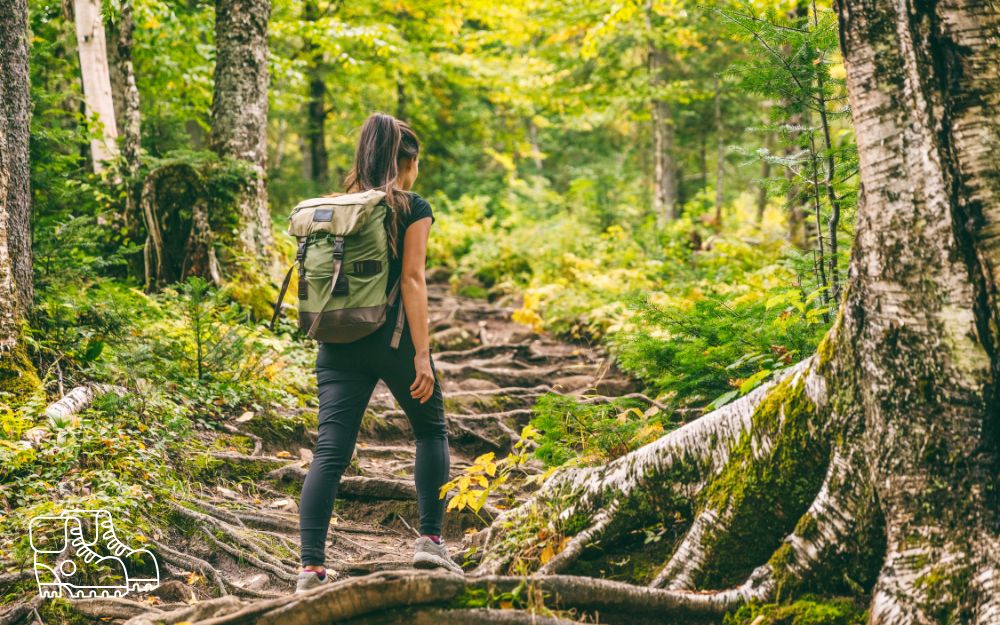 Cammini in Italia: scopri un'esperienza di viaggio autentica