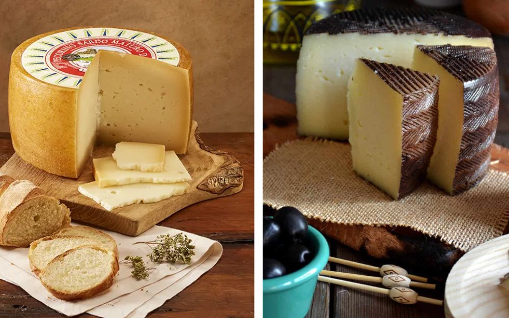 Pecorino Sardo DOP e Manchego spagnolo: due eccellenze a confronto